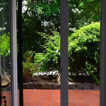 Il Giardino Selvatico Di Succellario - Apartments バラーノ・ディスキア エクステリア 写真