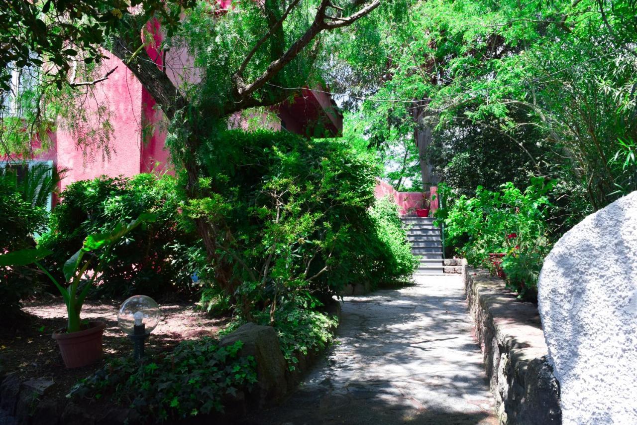 Il Giardino Selvatico Di Succellario - Apartments バラーノ・ディスキア エクステリア 写真