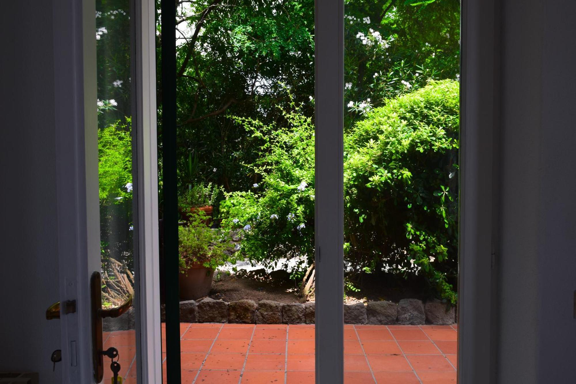 Il Giardino Selvatico Di Succellario - Apartments バラーノ・ディスキア エクステリア 写真